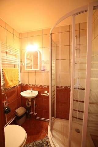 Гостевой дом Pensiune Saroklak Sîncraiu Трехместный номер с собственной ванной комнатой-6