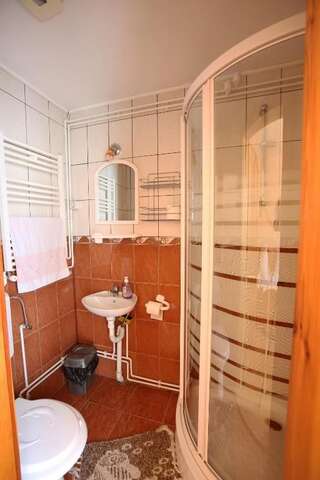 Гостевой дом Pensiune Saroklak Sîncraiu Трехместный номер с собственной ванной комнатой-8
